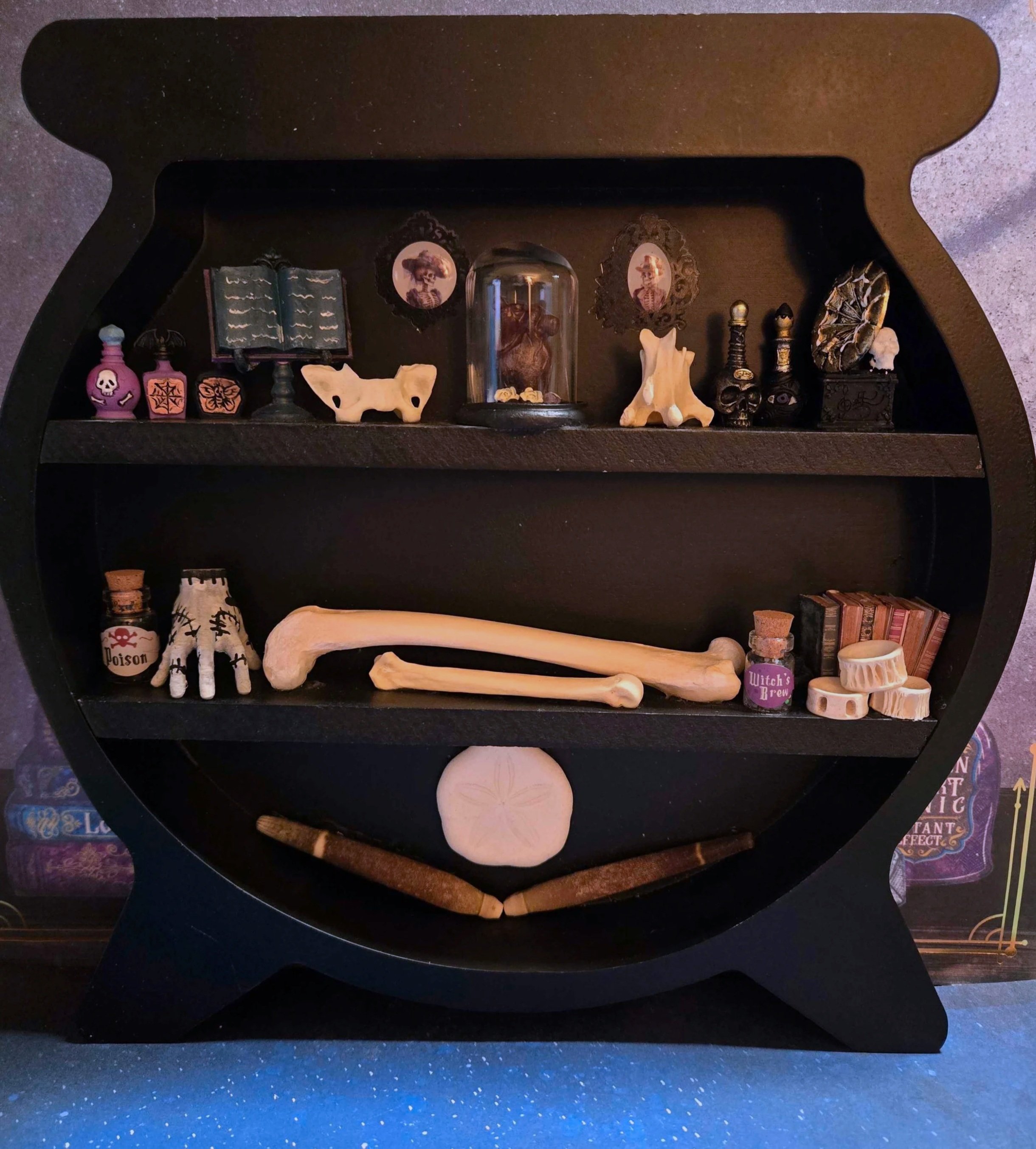 cauldron_curioshelf2.jpg