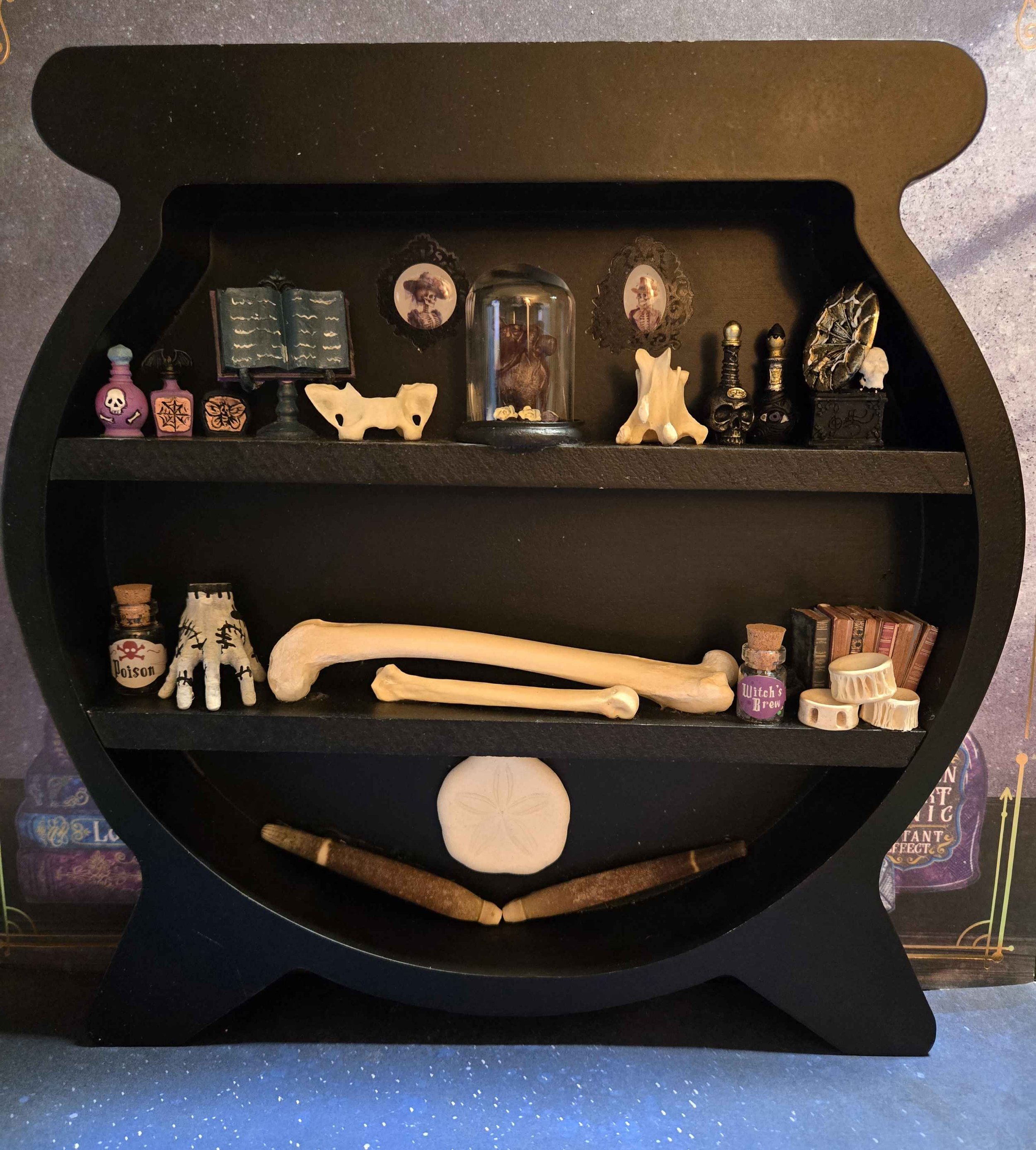 Cauldron Curio Bone Shelf (Hanging)