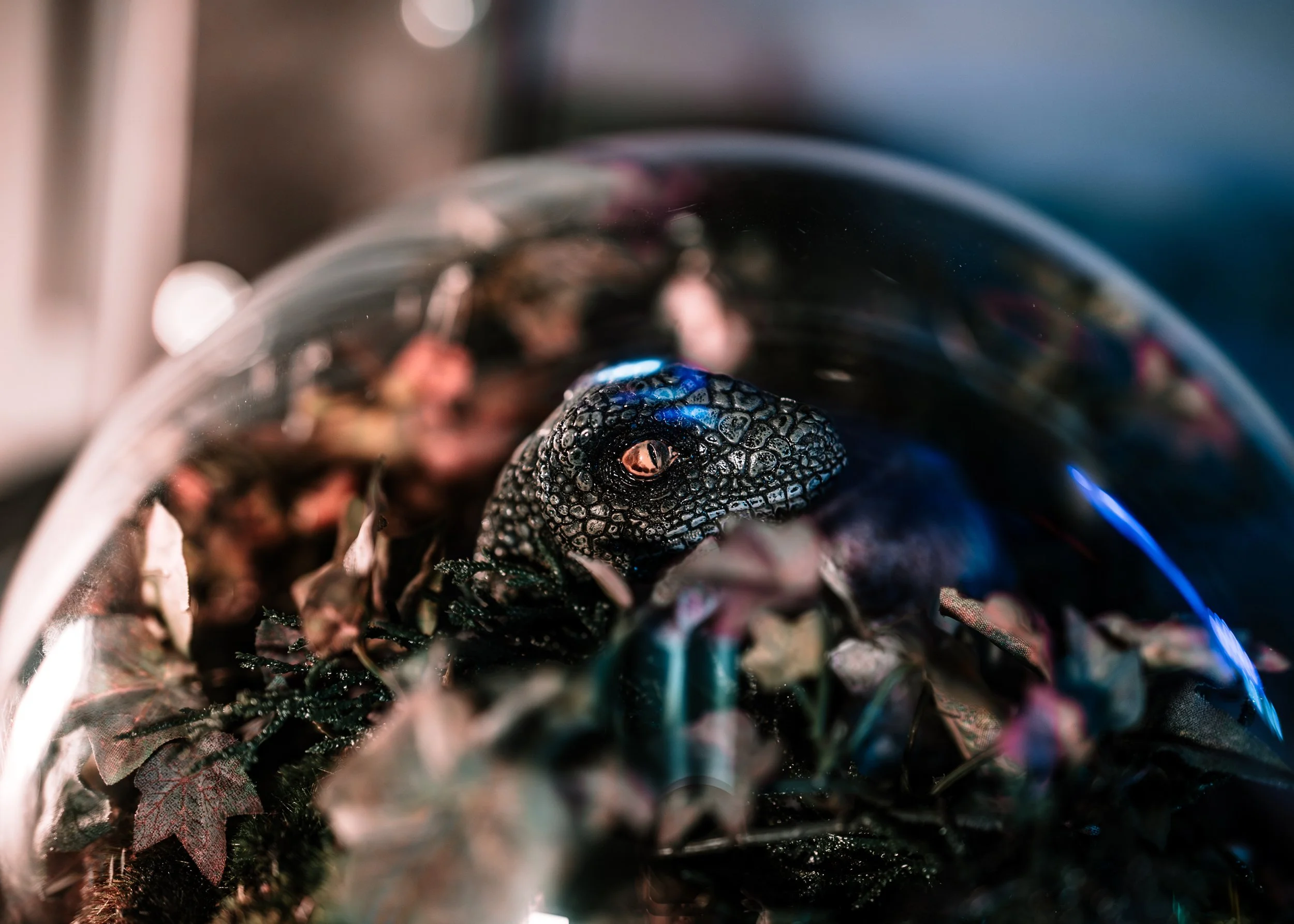 Photography for Elite Escape Games - Charleston, South Carolina