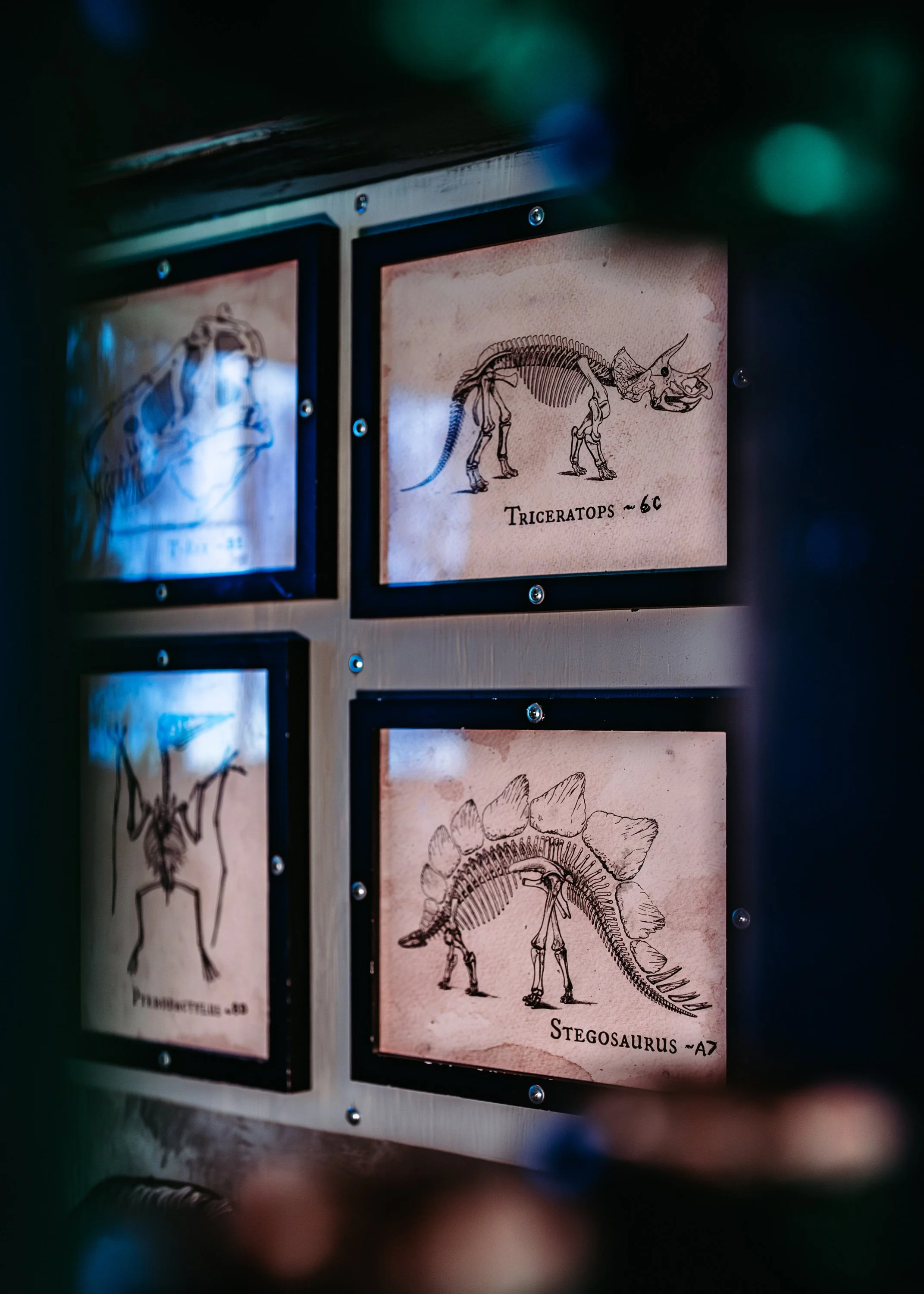 Photography for Elite Escape Games - Charleston, South Carolina