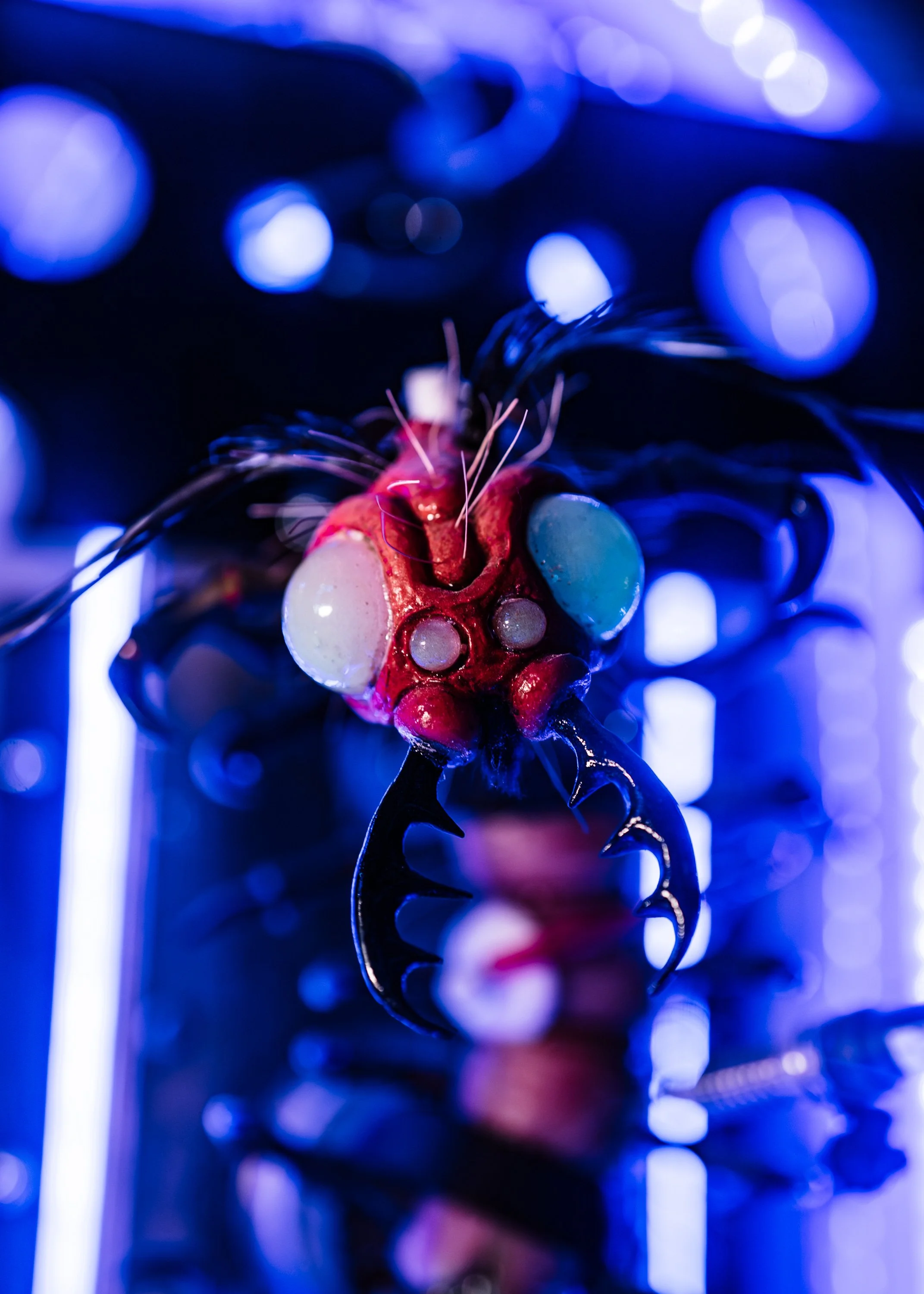 Photography for Elite Escape Games - Charleston, South Carolina