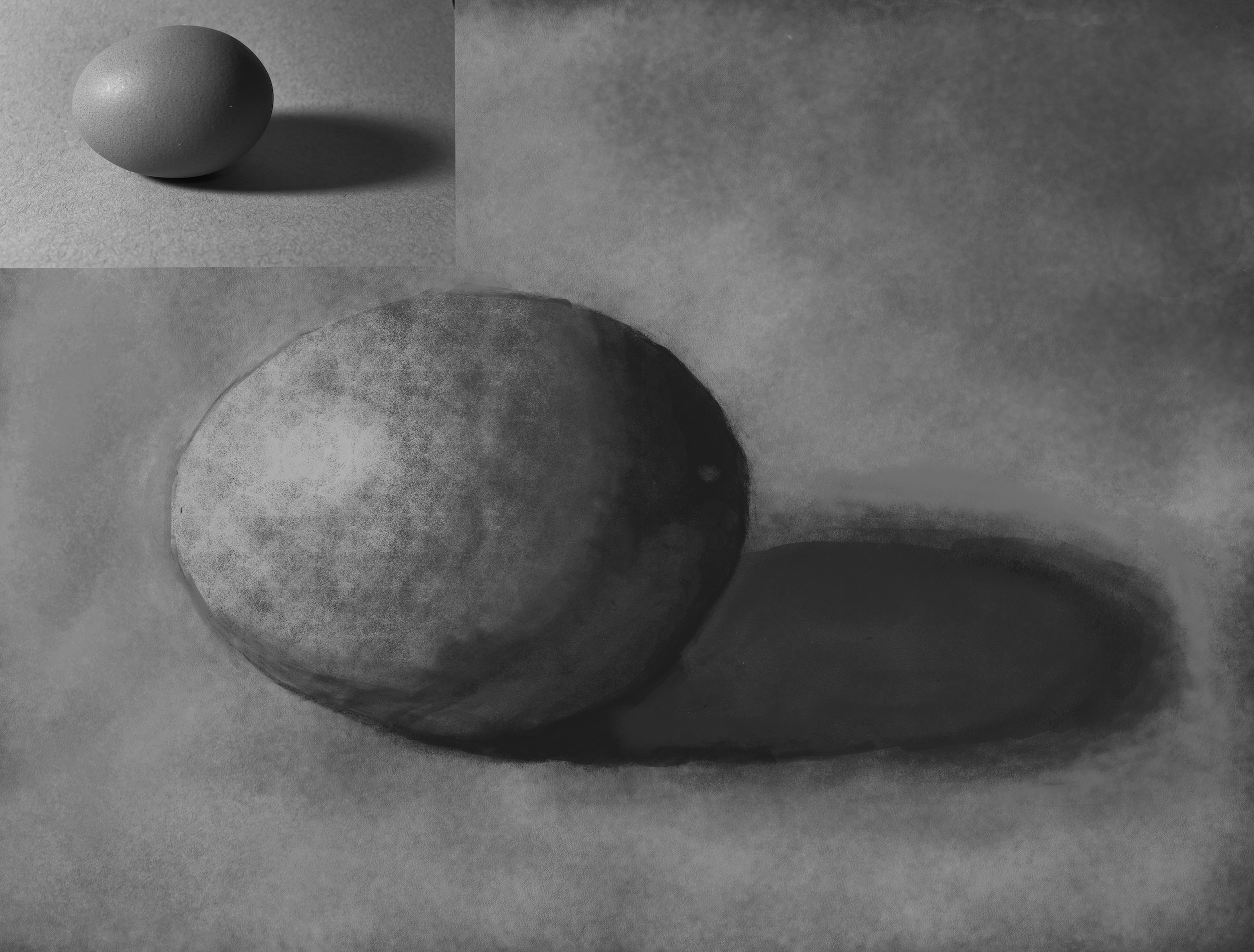 Digital Dry Media Study- Egg