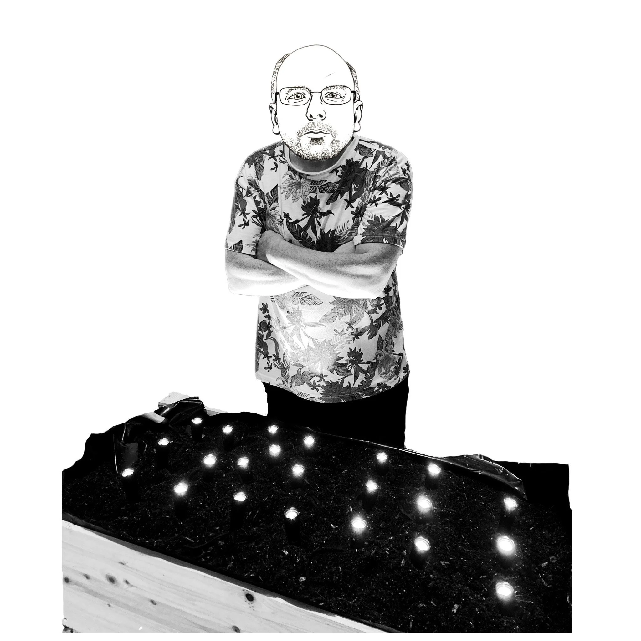 AUG: Harvest by Michael Reinsch