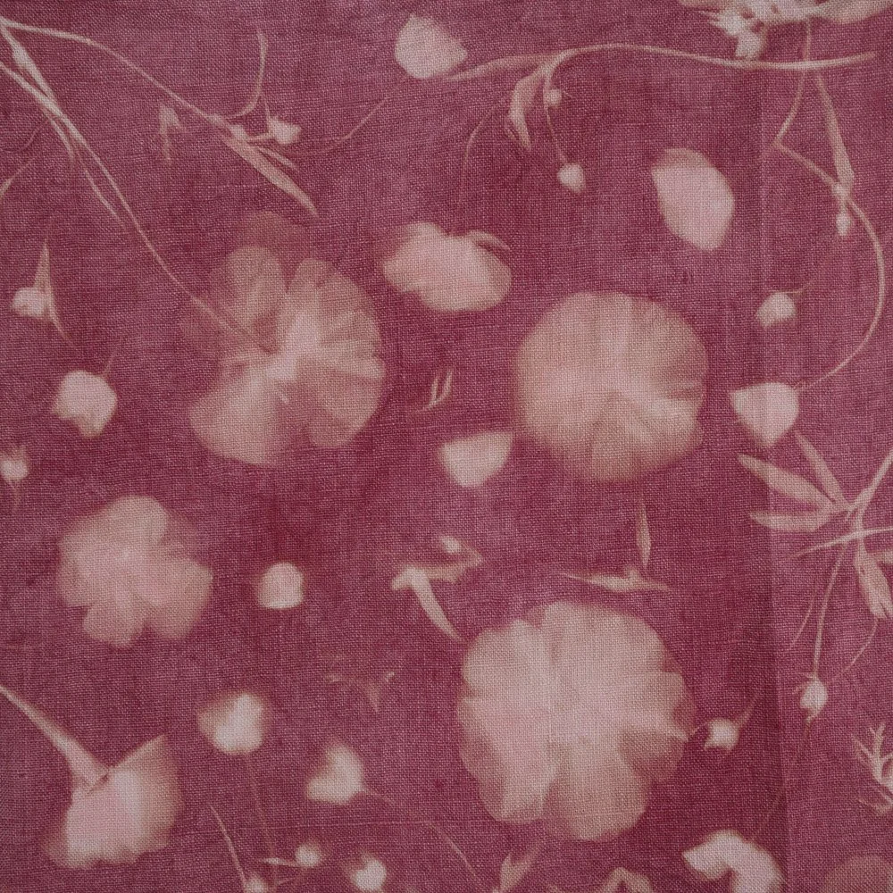 Flower Painting Pamela Chipman.jpg