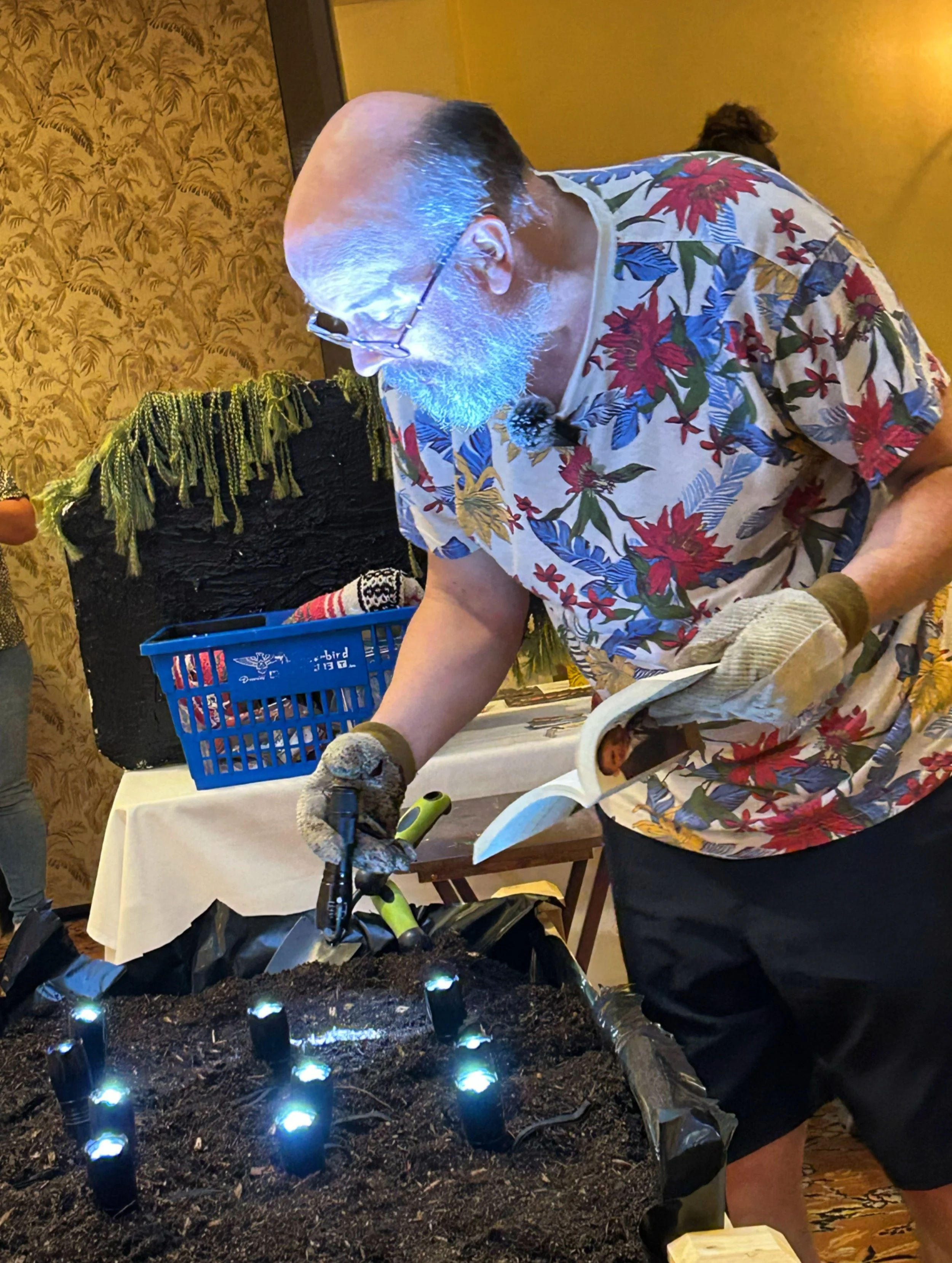 Image _ “A Plant Will Grow in the Direction of Light”..jpeg