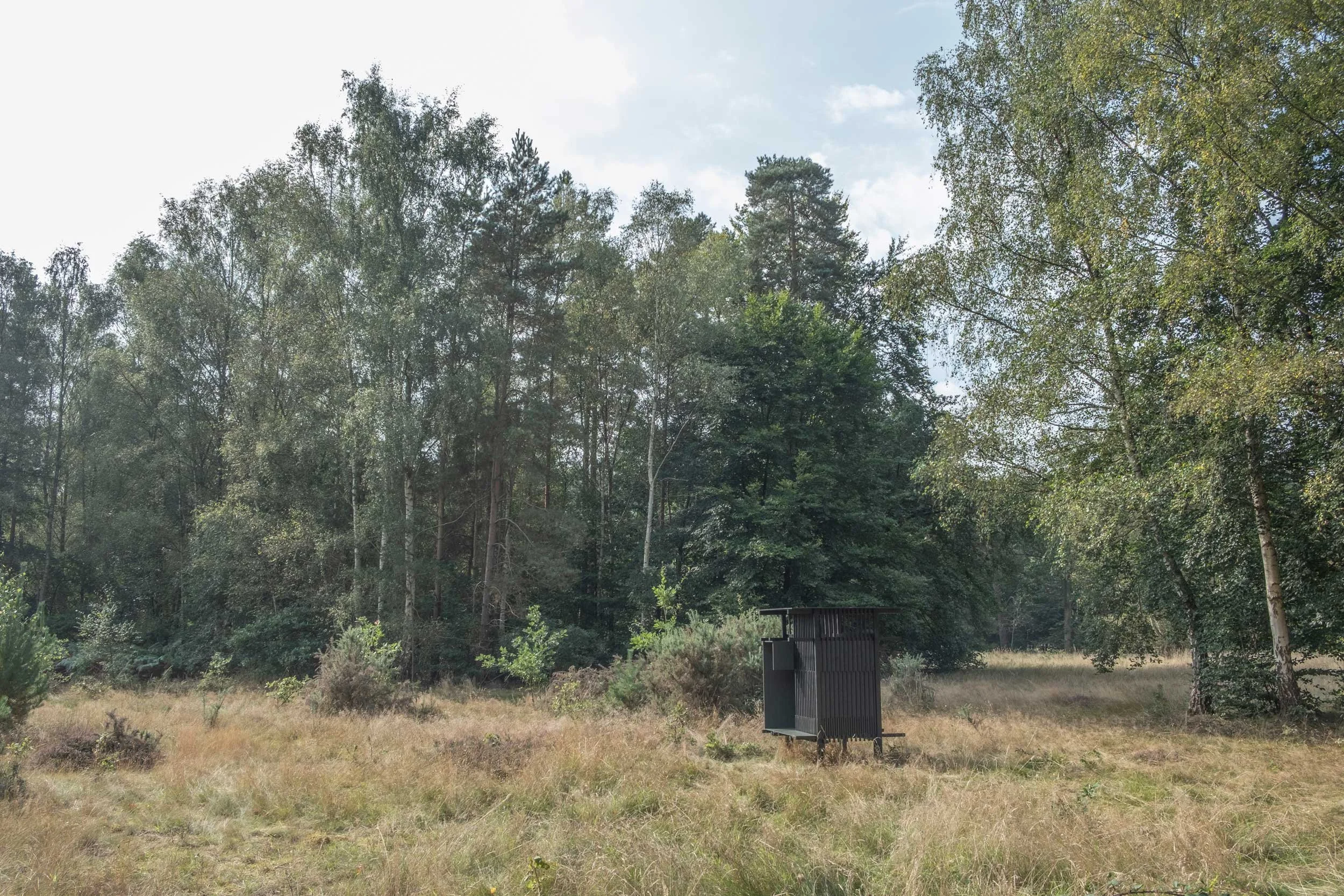 Inclume LTD — Contemporary cabin in the woods built by Architect in Thetford