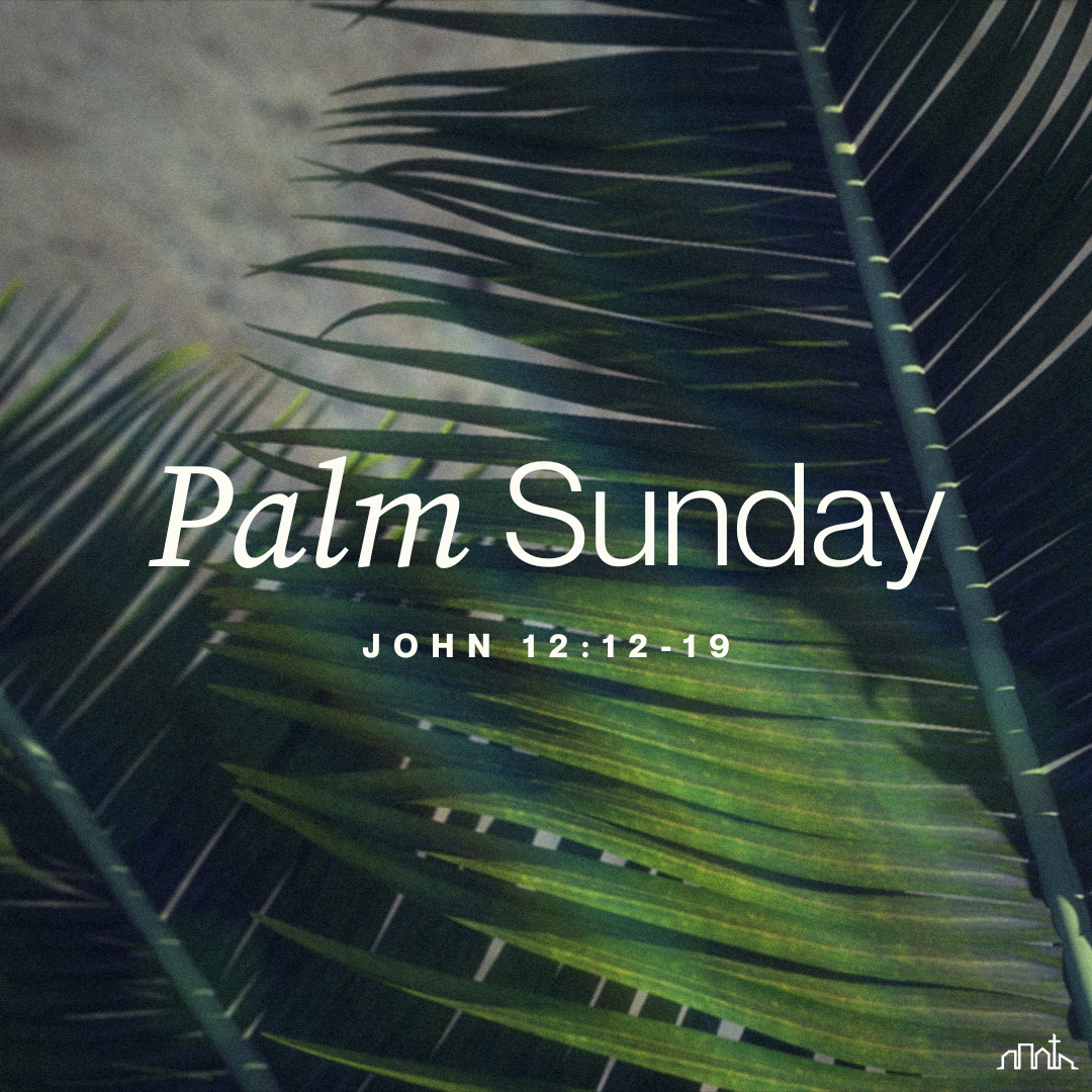 Palm Sunday 2026 (John 12:12-19)