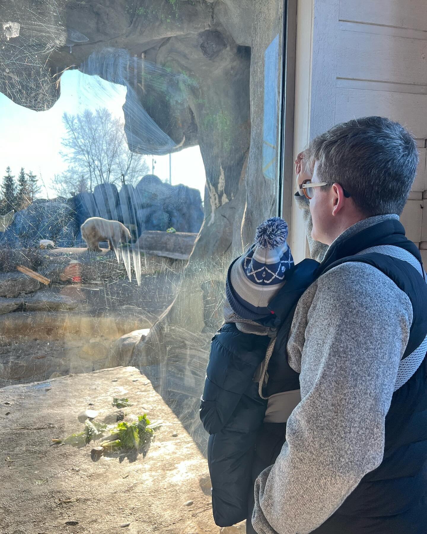Graeme&rsquo;s first trip to the zoo - another point for Scarborough in the east side vs west side game ✅ Niko was so much of an old pro that he fell asleep for most of the animals (but really loved the tiger especially). A much-needed decompression 
