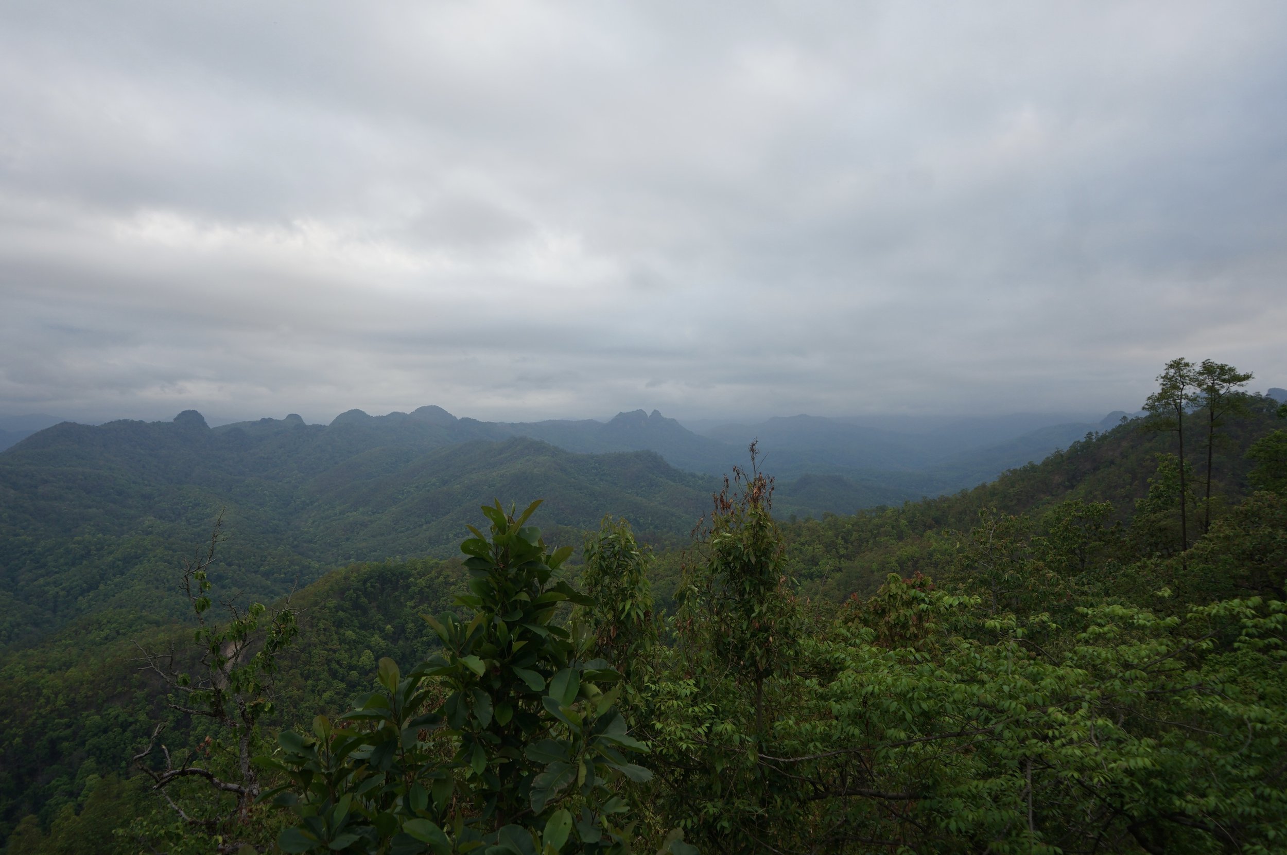 DSC09080.jpg