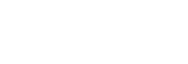 The Well Group L.L.C.