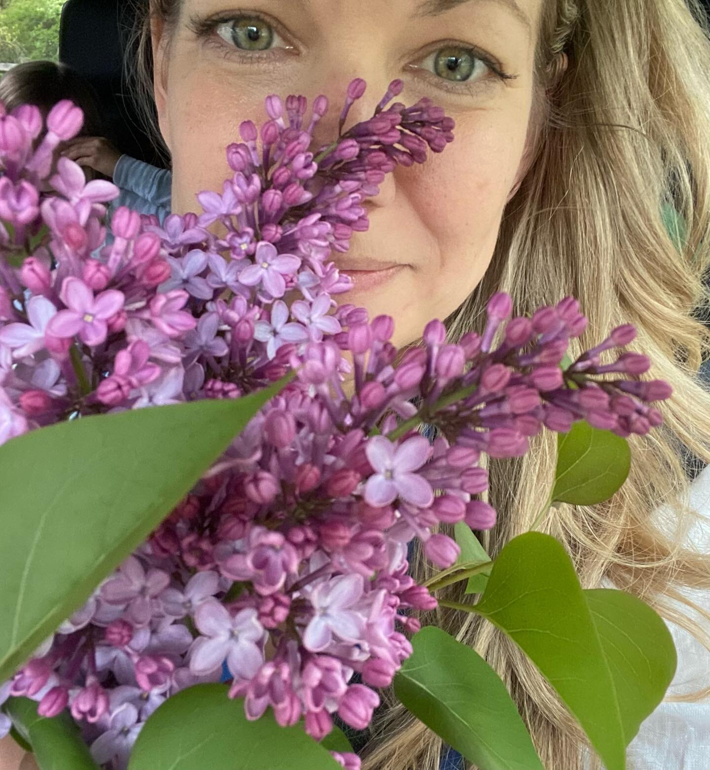 Inhale&hellip;🌱 An armful of lilacs is pretty hard to beat.