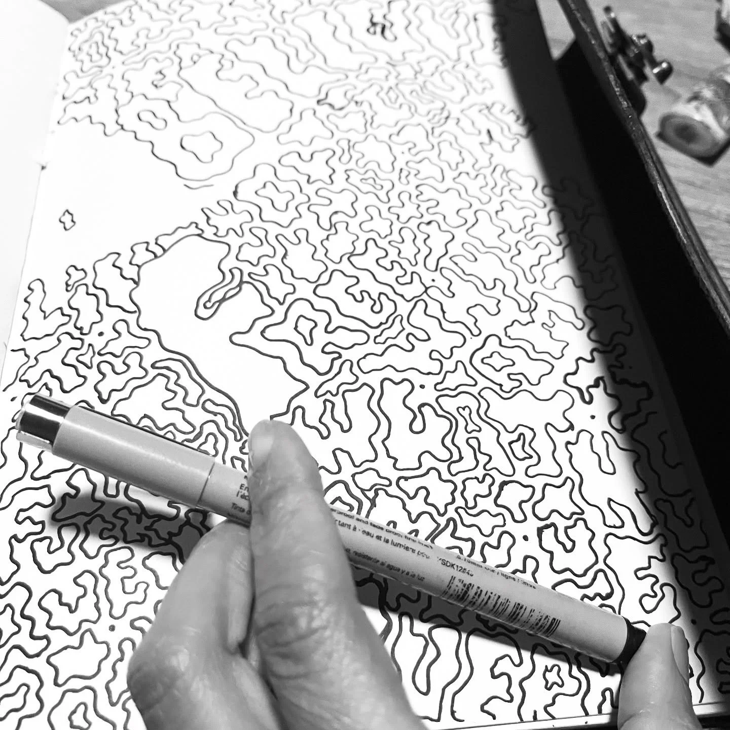 A concept I&rsquo;ve been playing with lately. I really enjoy drawing and seeing the evolution of an idea. This font pattern reminds me of the composition book covers〰️🖊️

#artwork #artist #drawing #conceptartwork #fontart #typography #fontstyle #fo