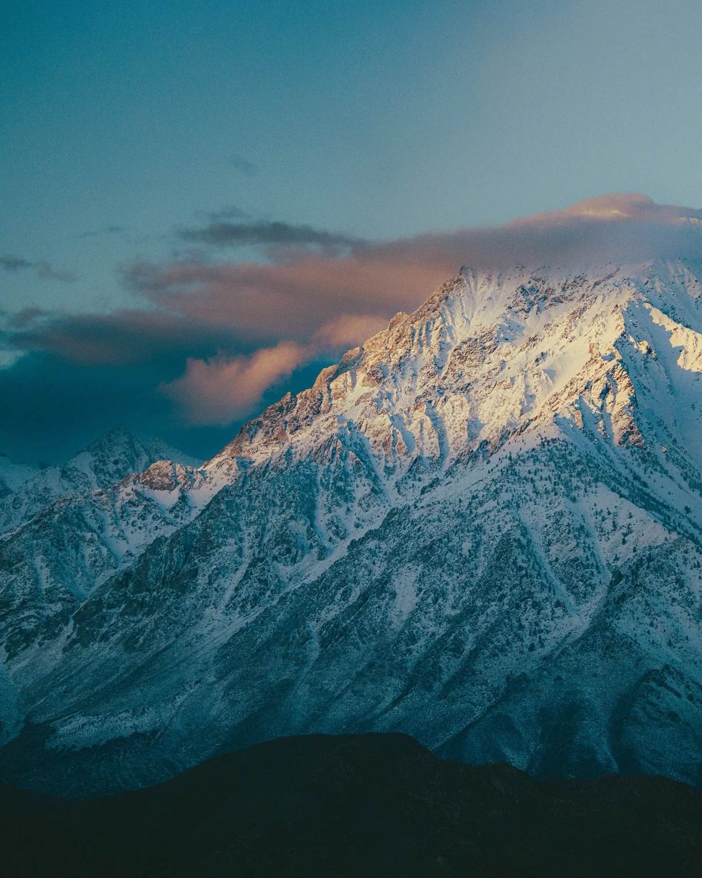 &ldquo;the world is mostly just a boneyard, but pretty in the sunlight&ldquo; - Larry McMurty