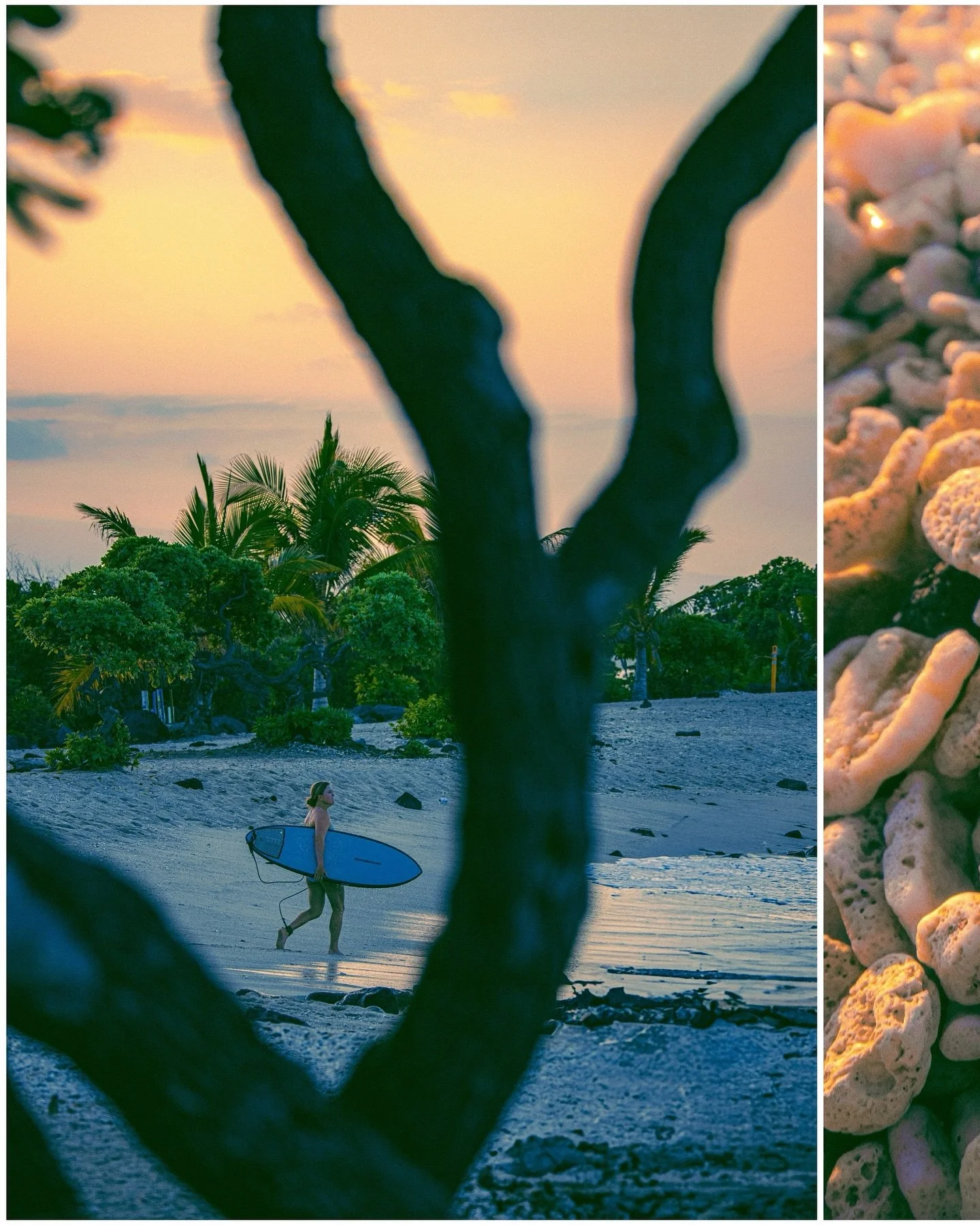 Take it down on the Wavestorm brudda 🤙