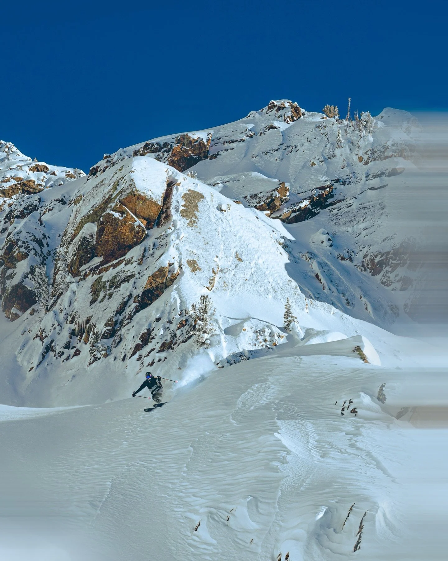 3/7 - Strawberry Frosted