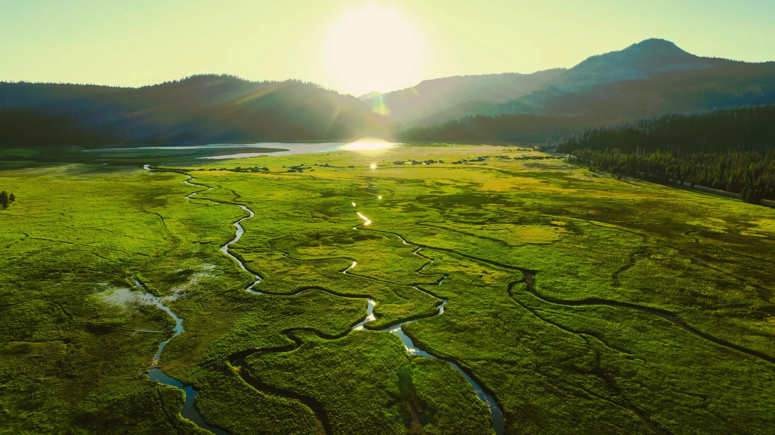 DJI_20250724112740_0013_D.jpg