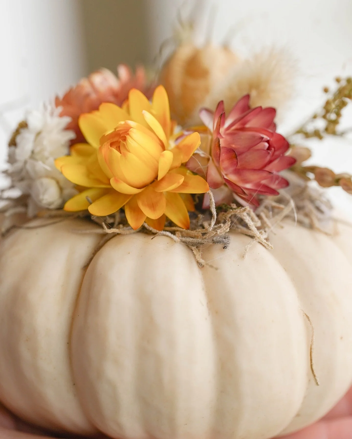 Pumpkin arrangements from @charliemayfarm 😍

Available at our bakery

Compositions &agrave; base de citrouille de @charliemayfarm 😍

Disponibles dans notre boulangerie