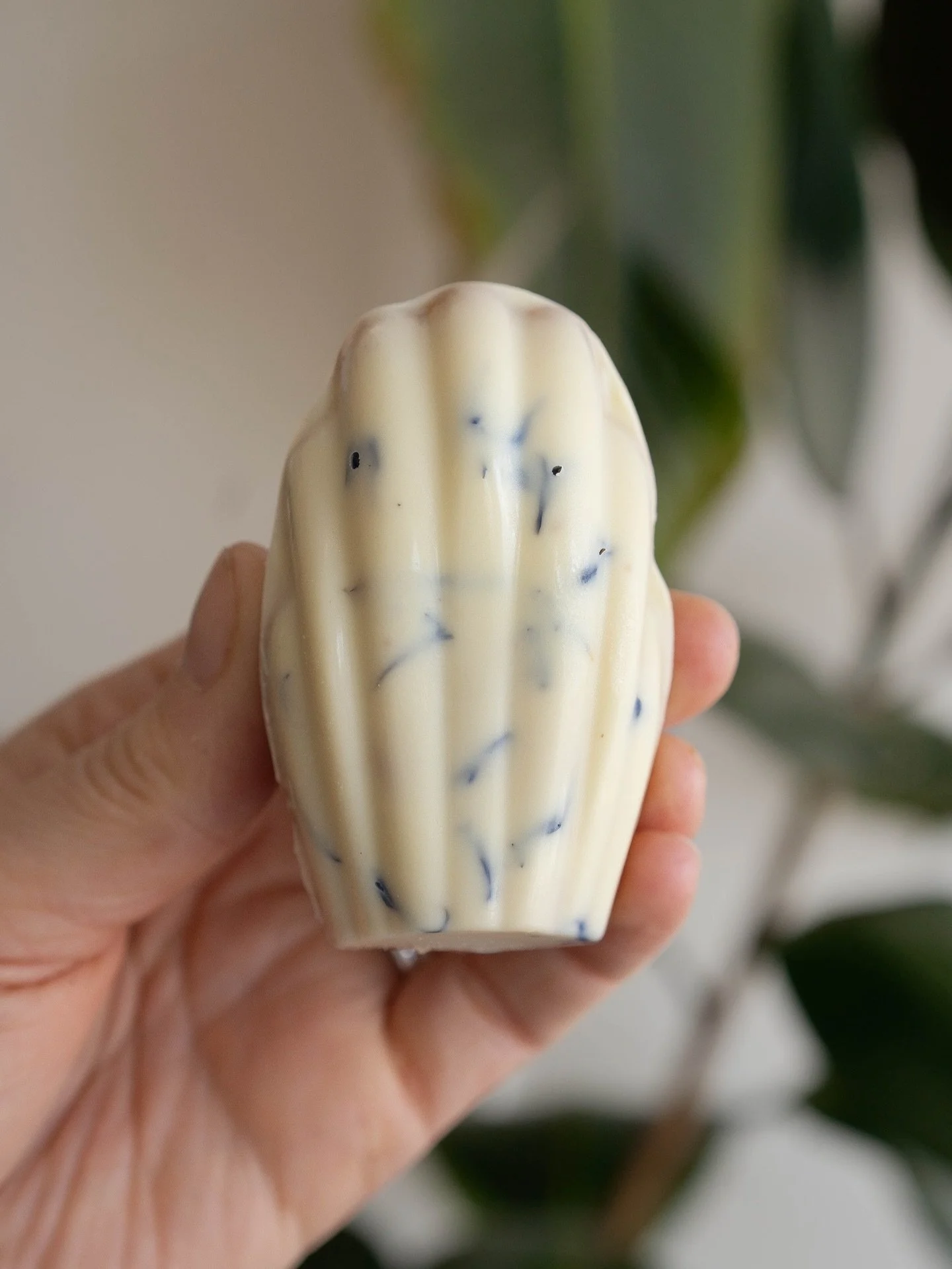 We have some new Madeleines 

Lemon Earl Grey and Chai 🙂

Nous avons de nouvelles madeleines 

Citron Earl Grey et Chai 🙂

#madeleines #madeleine #boulangerie #pastries #pastrylove