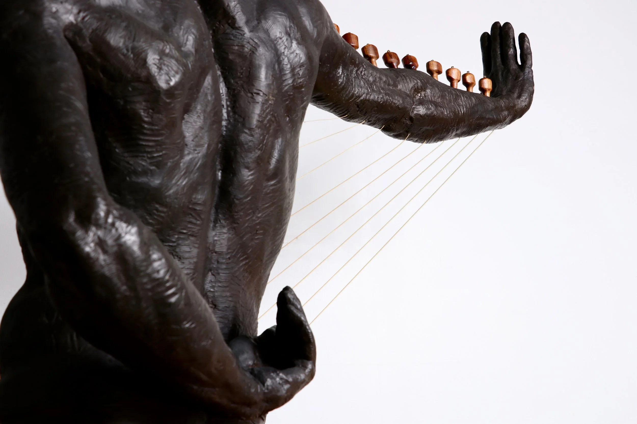 %22Don't Harp On It%22 Close Up 3.jpg