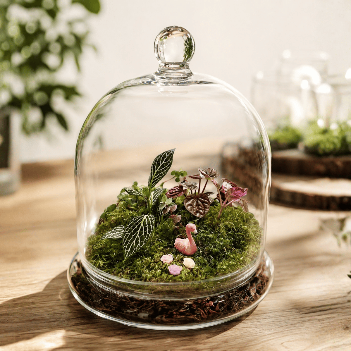 Create a Beautiful Terrarium ($75) 