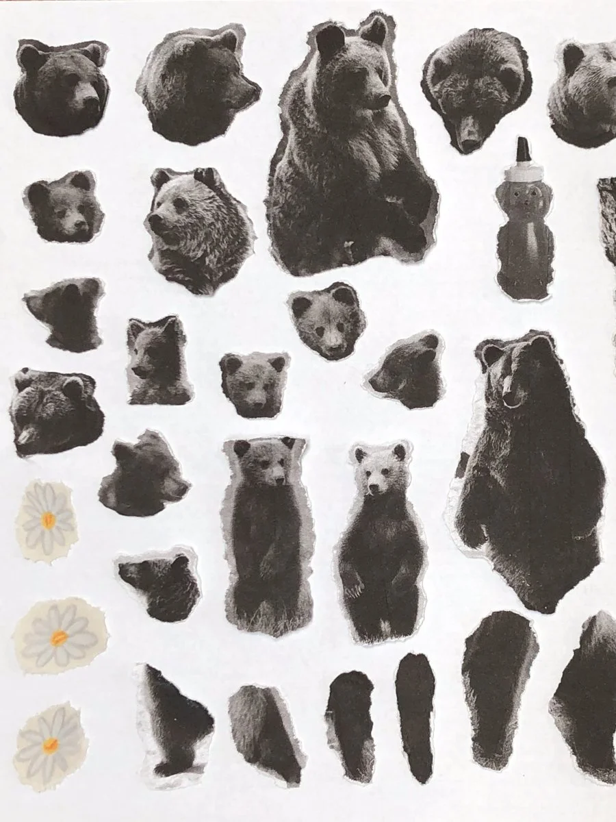 Bear-Animation.jpg