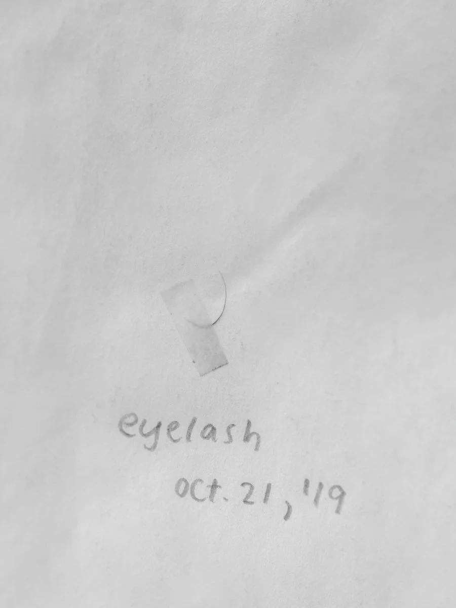 Eyelash.jpg