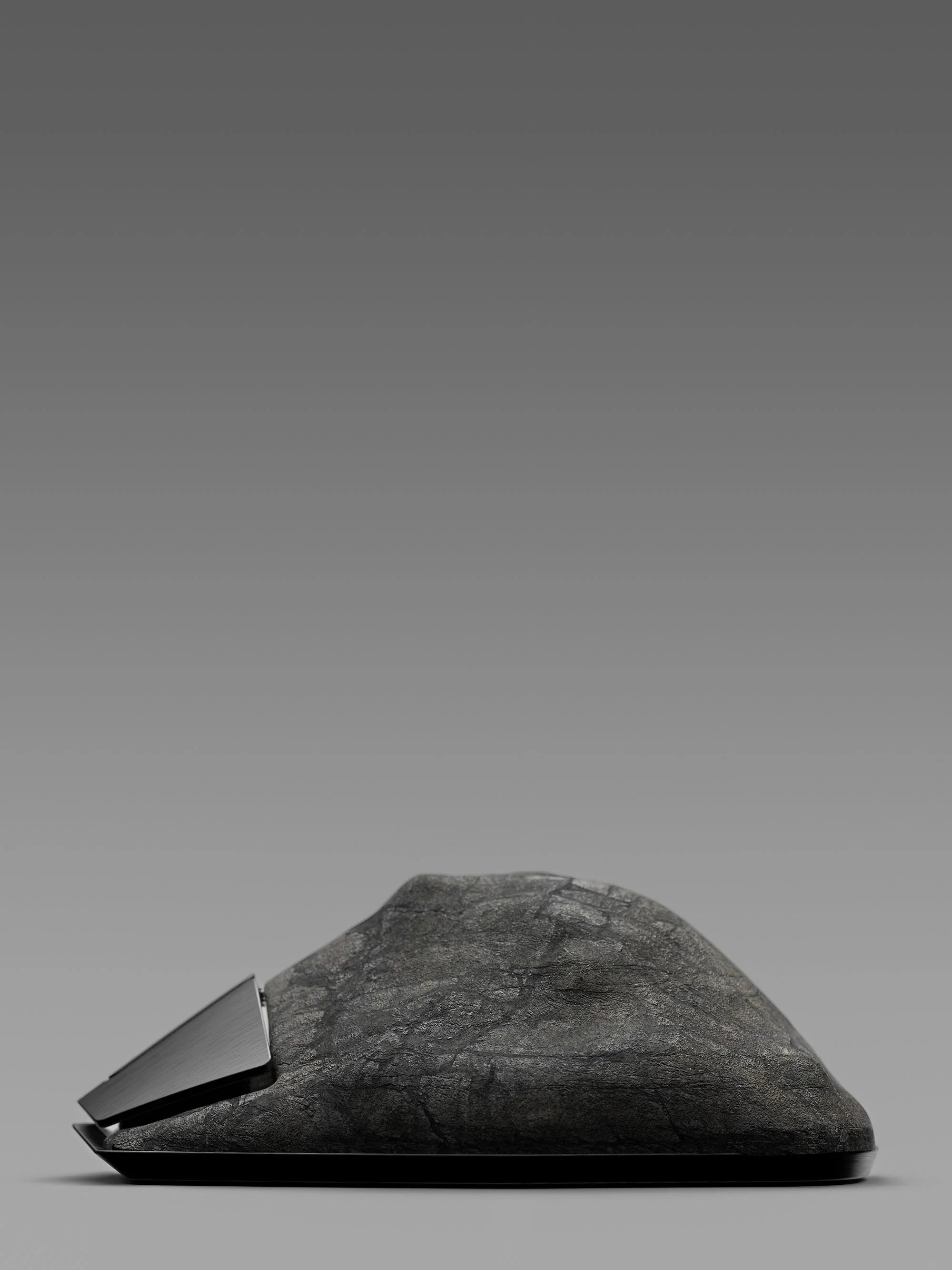    TERRAIN: COMPUTER MOUSE   