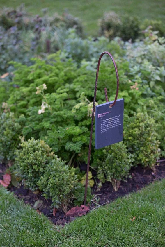 The corner of a herb garden, with a variety of herbs planted in close rows. At the front of the bed is a tall metal pole with a loop at its end, which holds a square granite tile with explanatory text on.