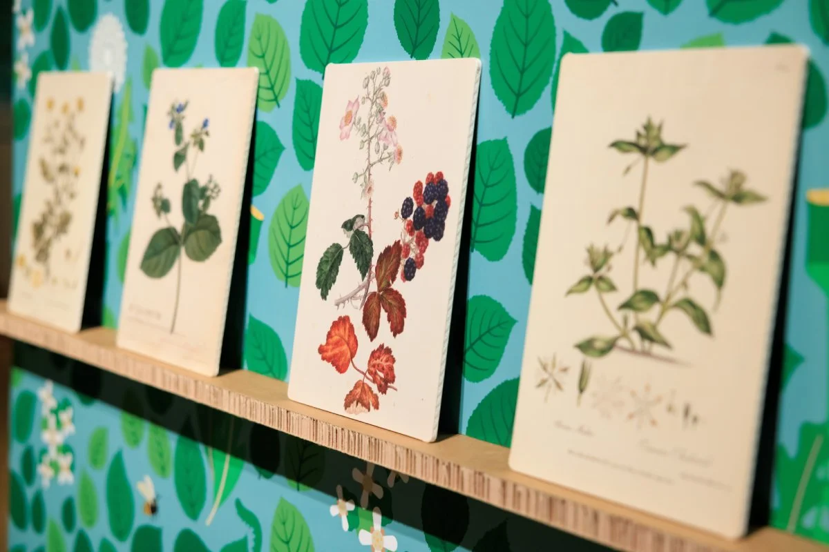 Four exhibition cards with direct to media graphics showing flower iconography. Cards are sitting on reboard narrow shelf which is fixed to a colourful panel with leaves, flowers and bees.