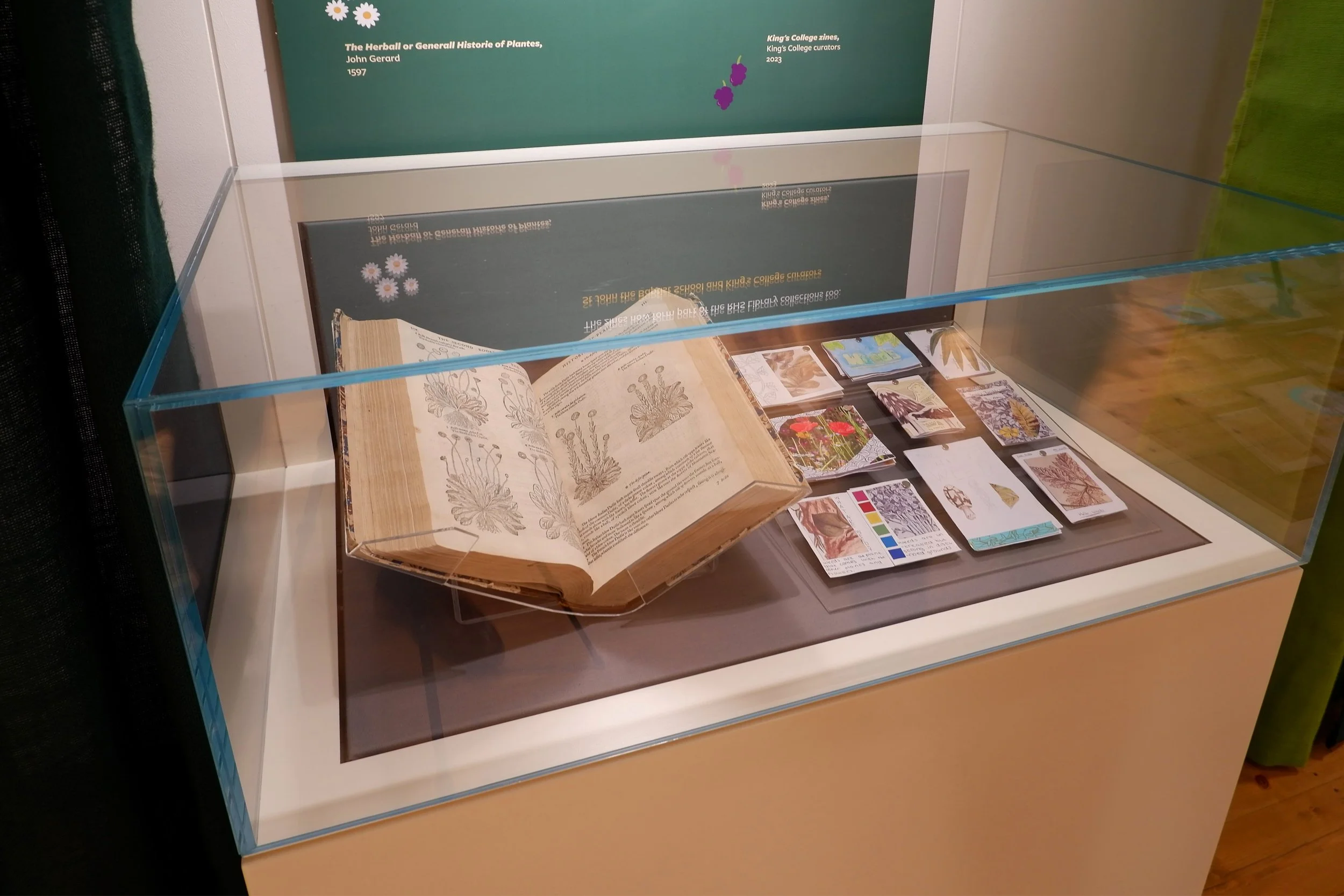 A showcase with an open-displayed herbarium and small leaflets displayed on an angled acrylic slope is at the front of a graphic panel in green tones embellished with little flowers.