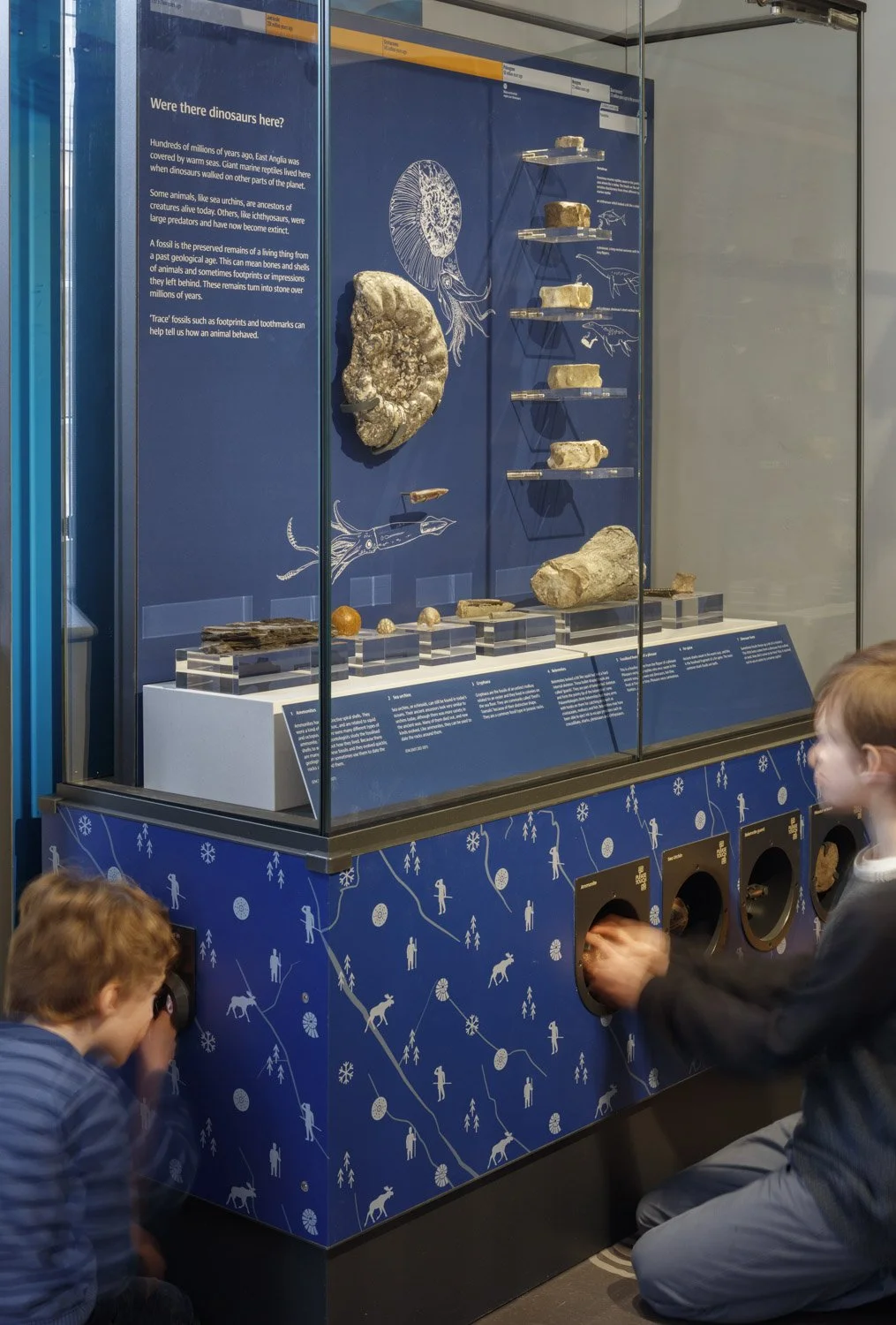 Two boys play with interactives in the base of a blue showcase. One looks through a peephole, one places his hands in an aperture. The case displays fossils next to illustrations of sea creatures.