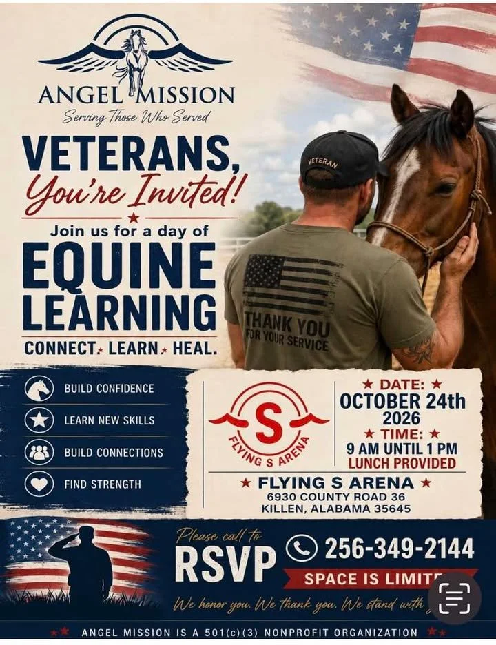 Horses Helping Veterans
