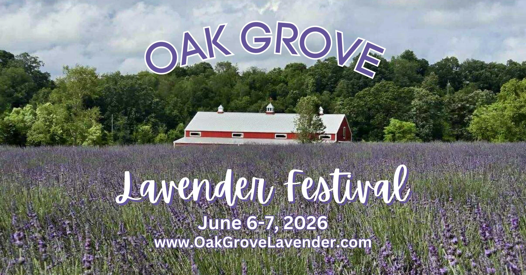 Lavender Festival at Oak Grove Lavender