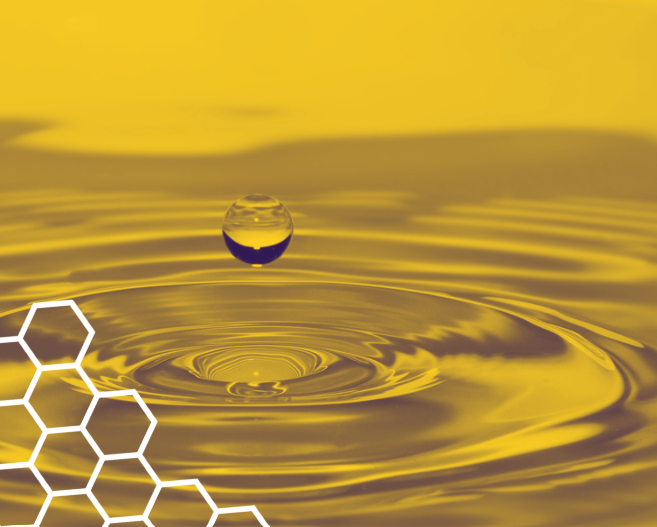 The Ripple Effect: How One Referral Can Transform Your Business