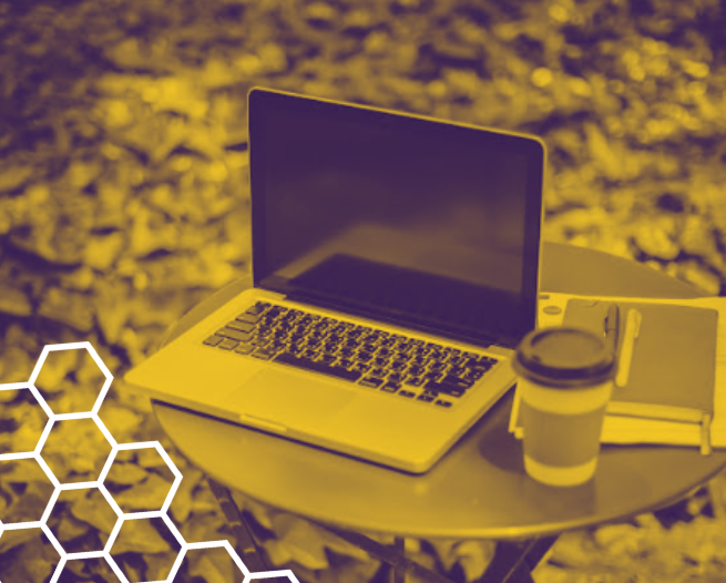 Summer Website Check-Up: How a Website Audit Can Improve Your User Experience (and Your Results)