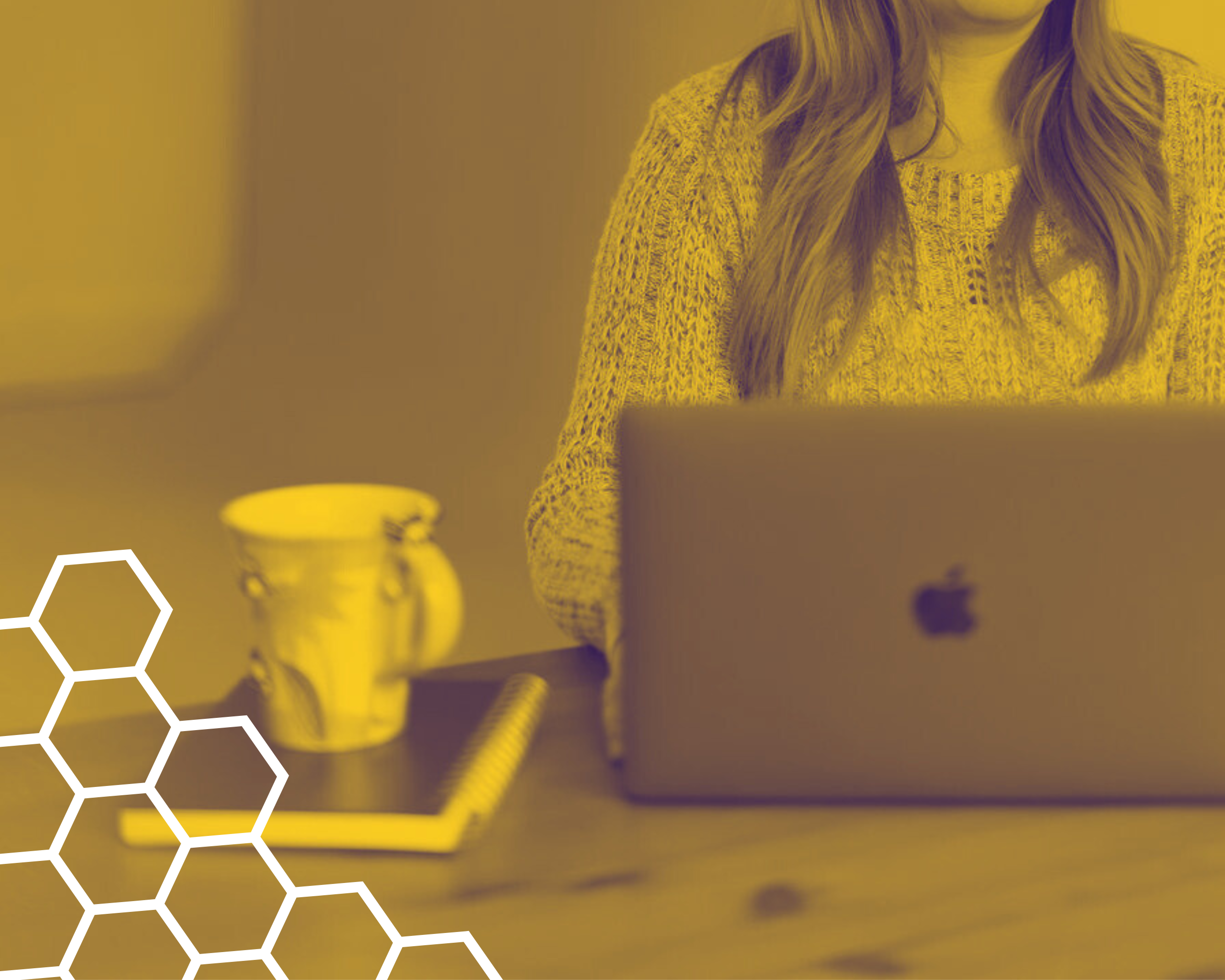 Modern wooden house with large glass window in a mountainous landscape, surrounded by yellow wildflowers.