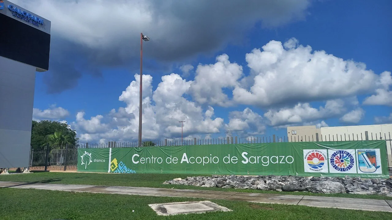 Anuncian renovación del convenio con Dianco para el reciclaje de sargazo en Cancún