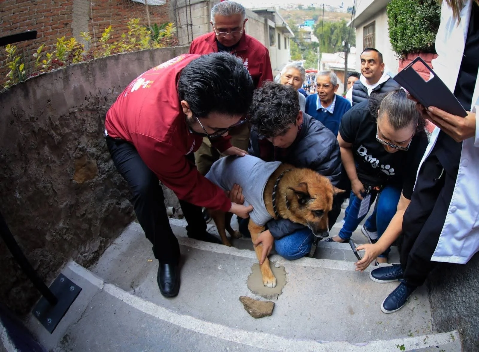 Detienen al sujeto que arrojó al perrito “Lobito” de unas escaleras en Naucalpan