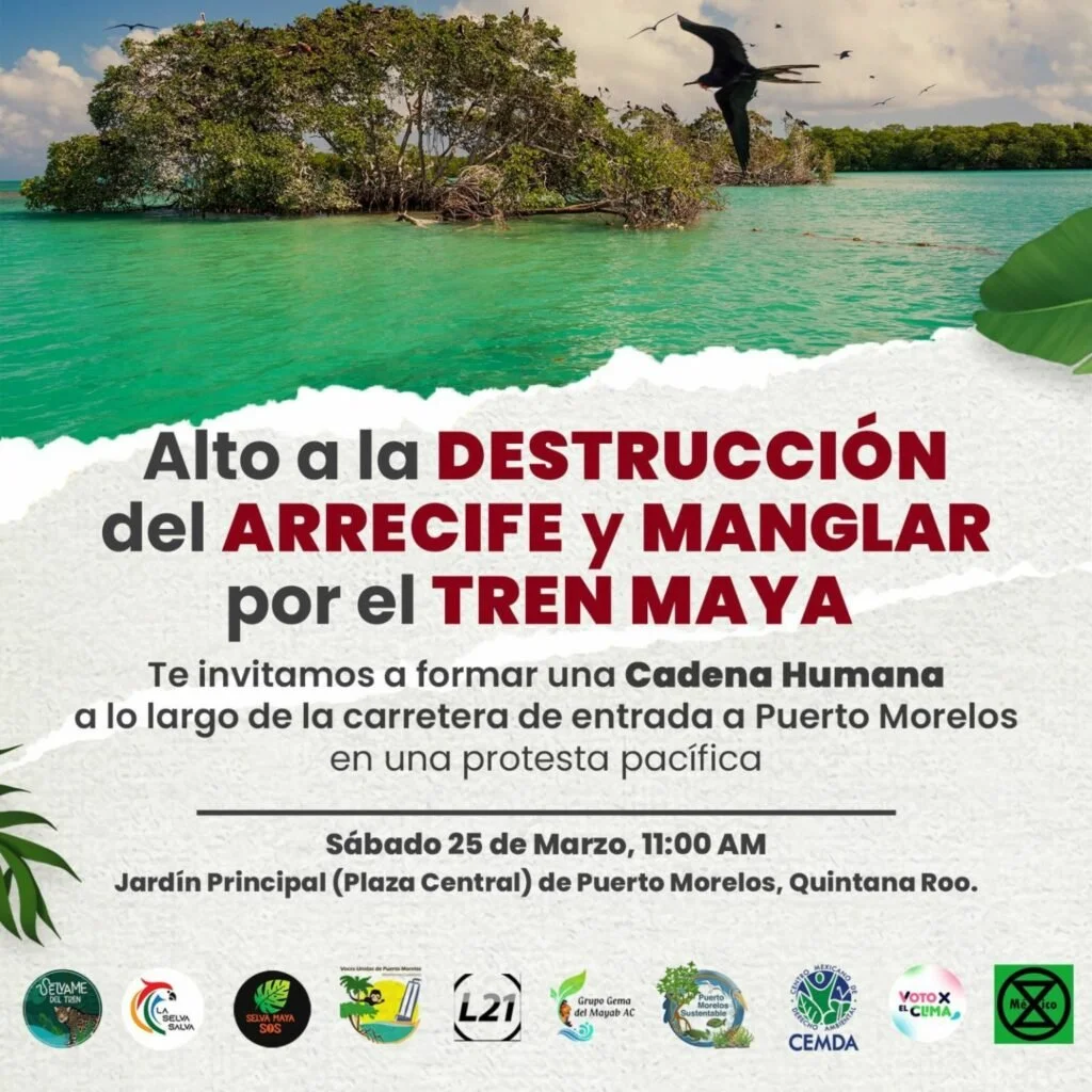 Se investigan posibles daños ambientales por el Tren Maya en arrecife de Puerto Morelos
