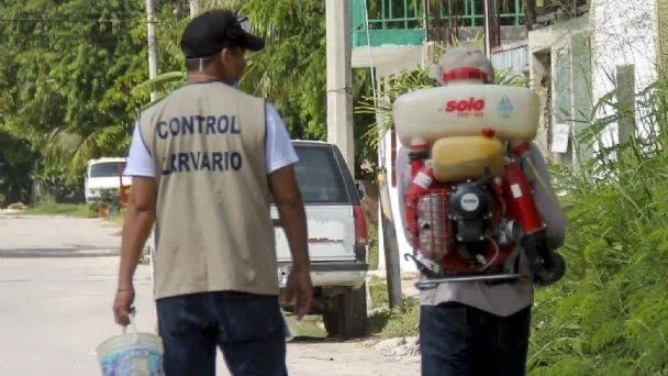 Quintana Roo suma 802 casos de Dengue