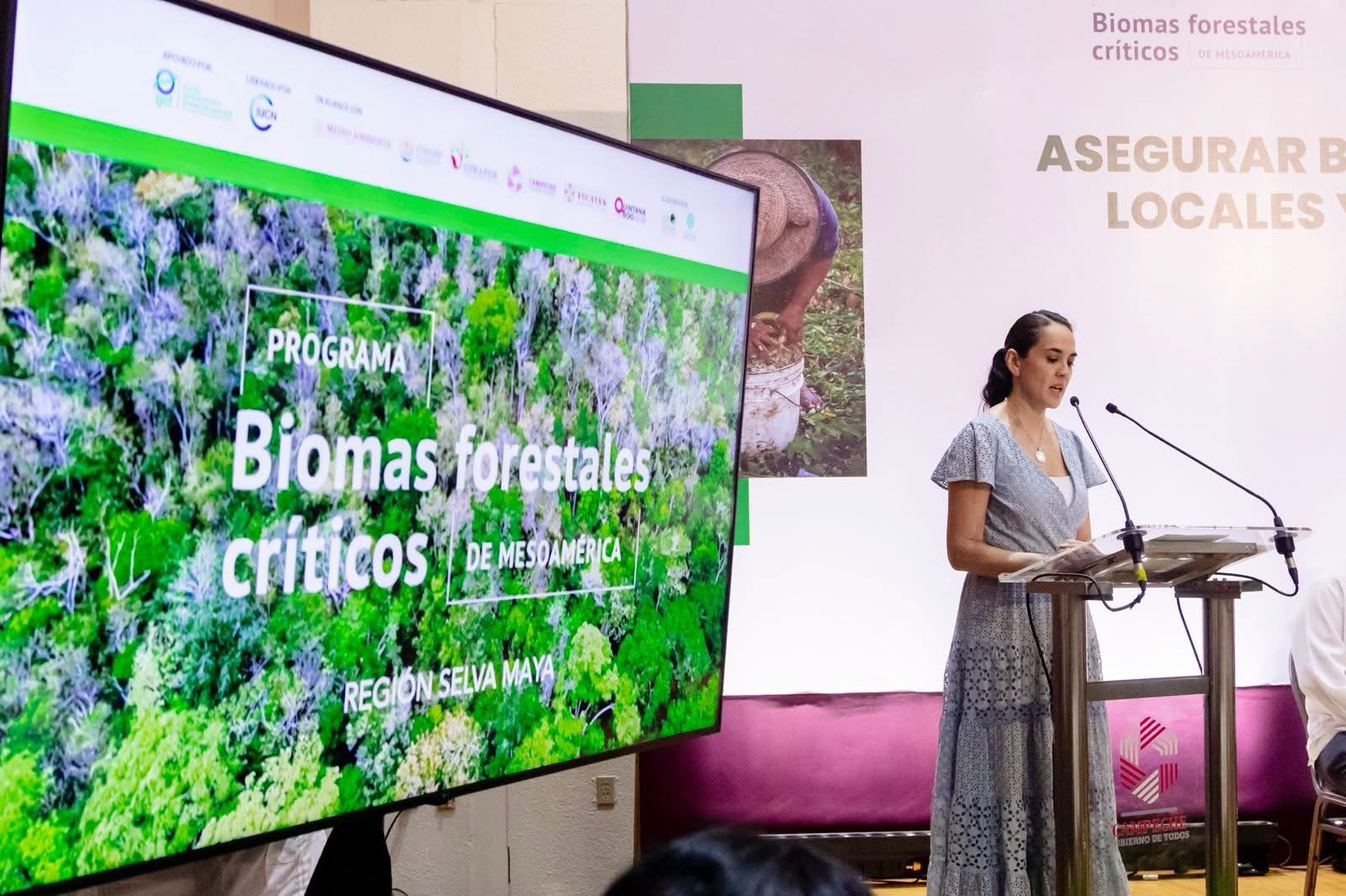 Yucatán se suma a una alianza regional con Campeche y Quintana Roo para la protección de la Selva Maya
