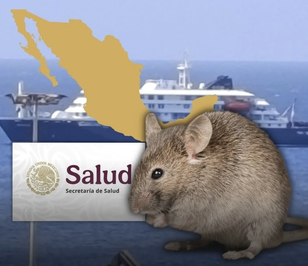 Secretaría de Salud en México emite aviso Epidemiológico ante brote por Hantavirus