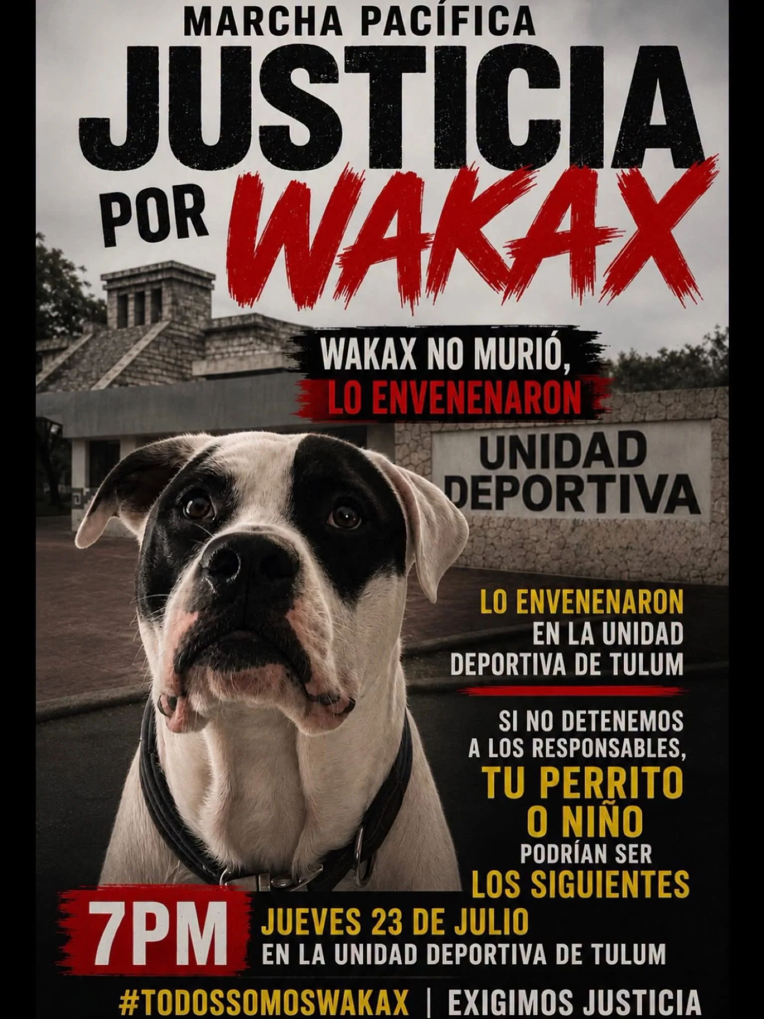Ciudadanos convocan a una marcha para exigir justicia por la muerte de un perrito envenenado en Tulum