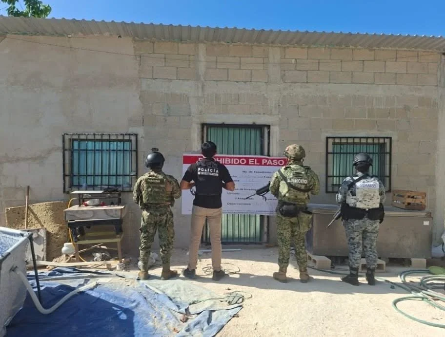 Fiscalía de Quintana Roo asegura dos viveros de marihuana en los municipios de Benito Juárez y Playa del Carmen