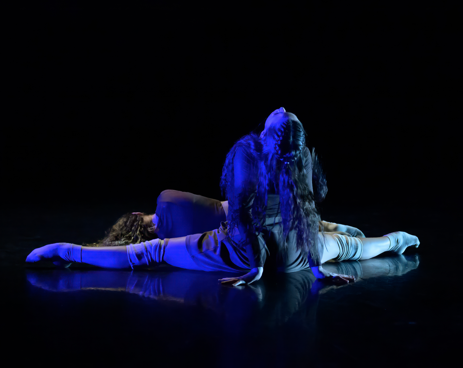 Screen Shot 2026-01-28 at 2.40.25 PM.png