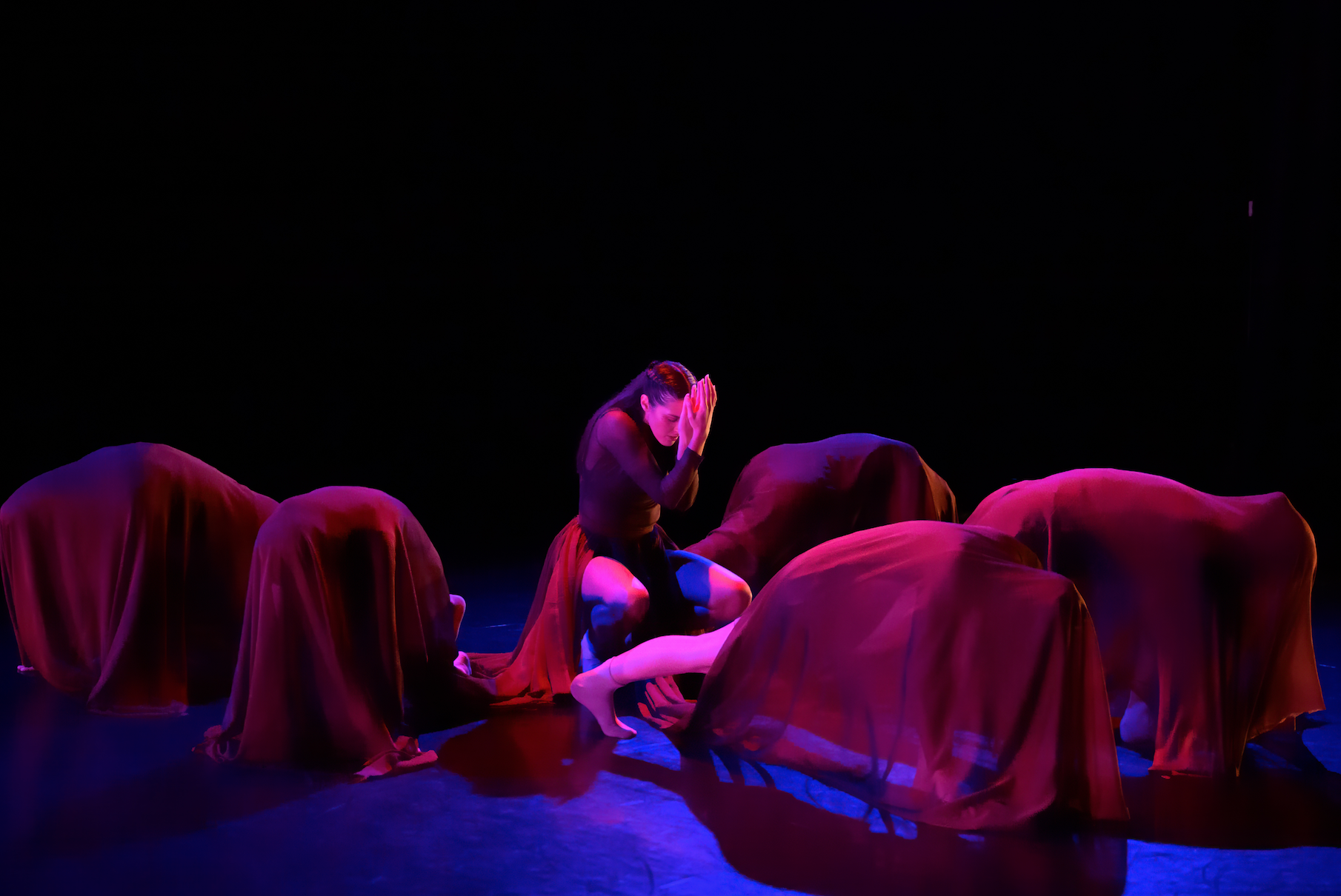 Screen Shot 2026-01-28 at 2.21.51 PM.png