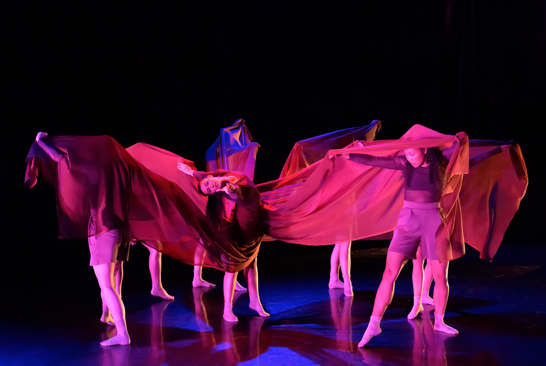 Screen Shot 2026-01-28 at 2.22.25 PM.png