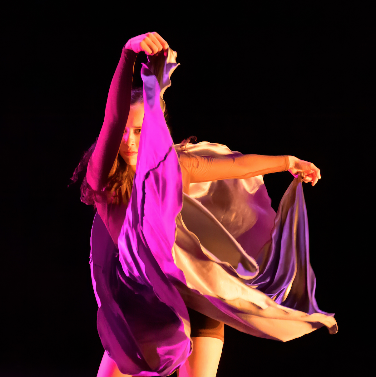 Screen Shot 2026-01-28 at 2.25.47 PM.png