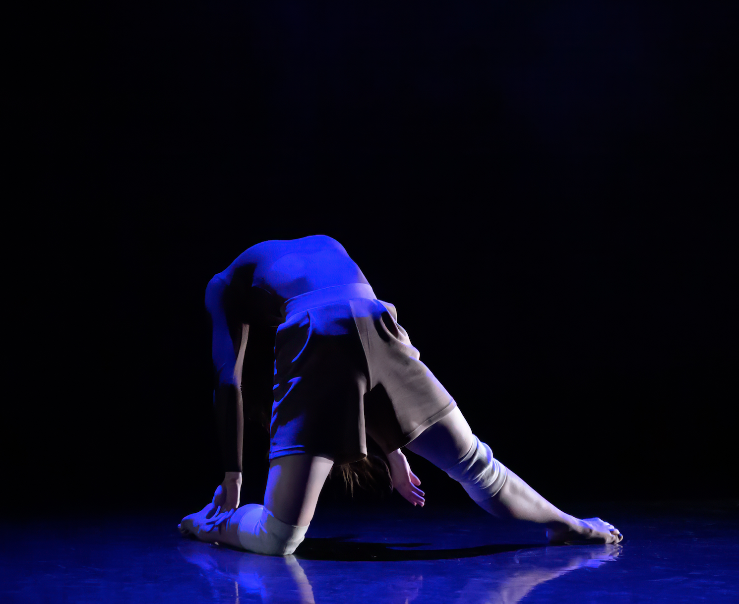 Screen Shot 2026-01-28 at 2.46.09 PM.png