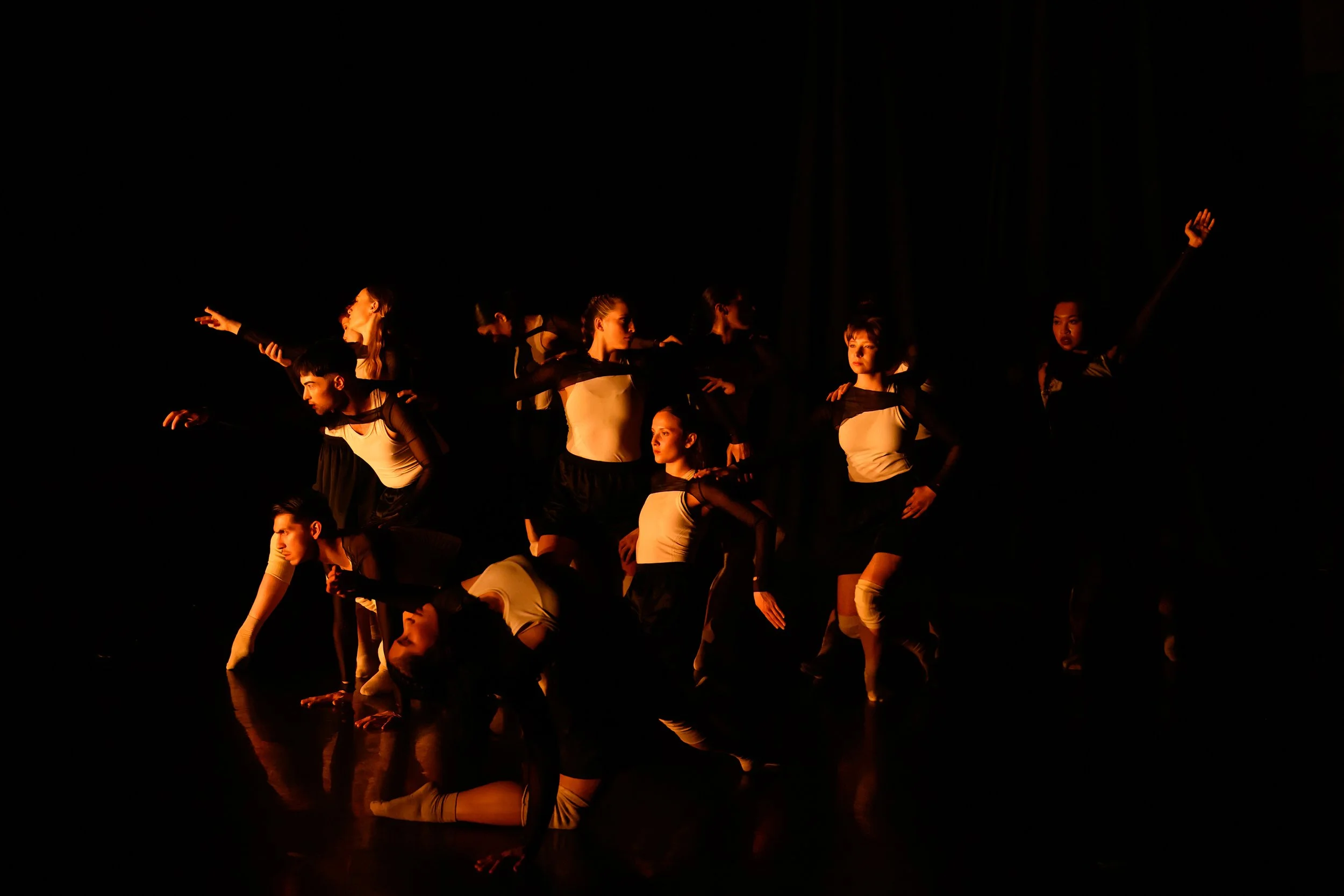 DSC_3509.jpg